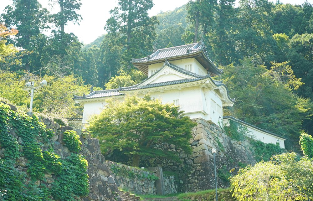 🏯 이즈시 성터(이즈시조아토) 이미지 1